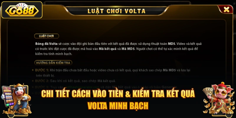 Chi tiết cách vào tiền & kiểm tra kết quả Volta minh bạch