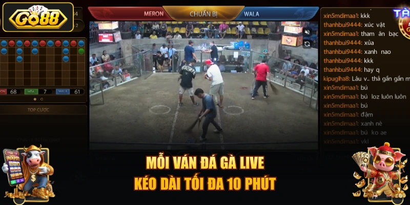 Mỗi ván Đá Gà Live kéo dài tối đa 10 phút